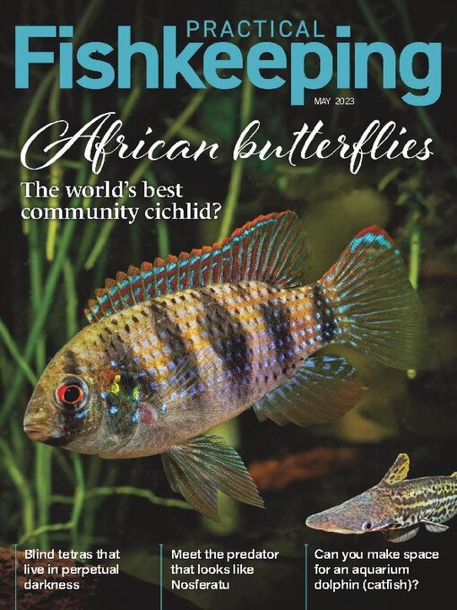 Title details for Practical Fishkeeping by Warners Group Publications Plc - Available